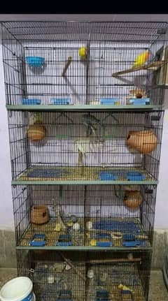 parrot cage folding for sale hogoromo exhibition bujre