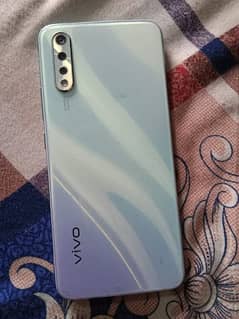 vivo