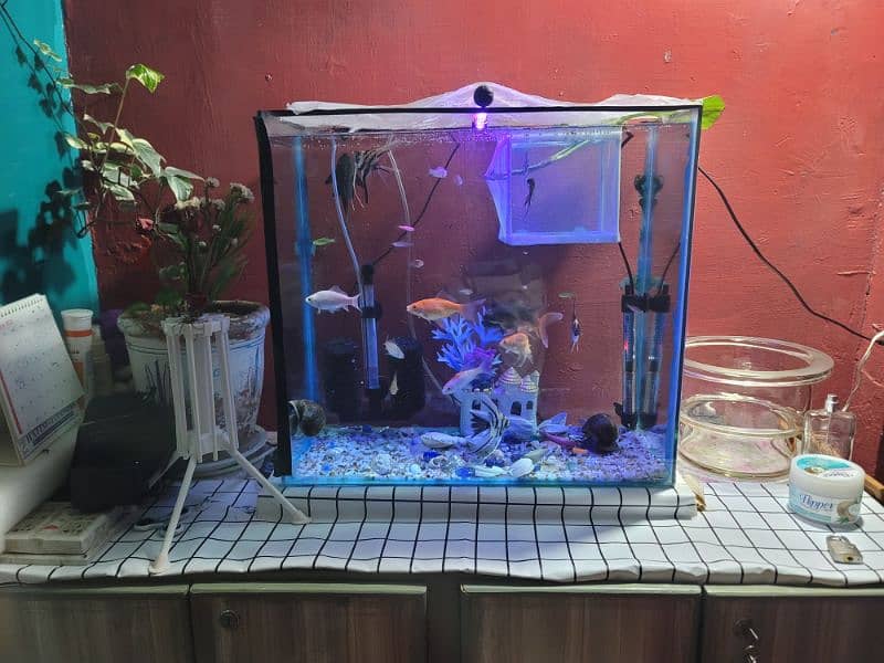 fish eqvarium full setup for sale. 0