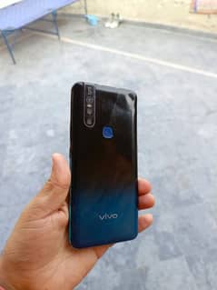 vivo