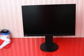 LENOVO P24Q10  24" (2k) IPS  LED Monitor