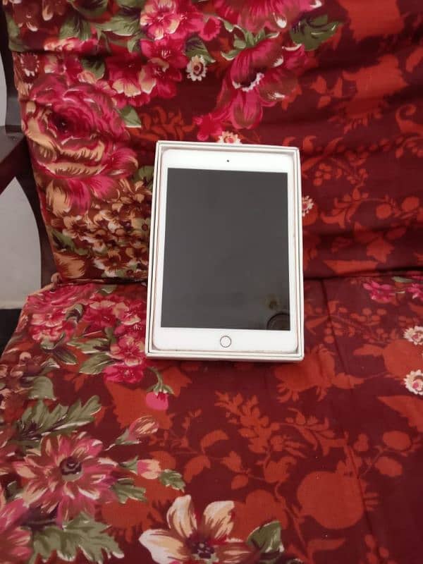 Apple Ipad mini 5 0