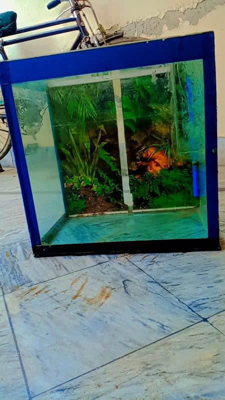 Fish Aquarium for sale 1