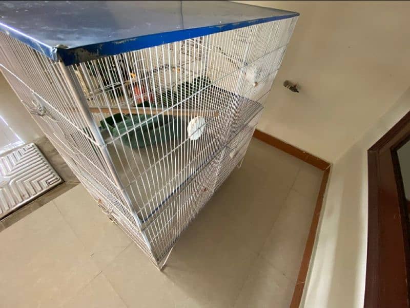 Birds Cage 4 portions 2