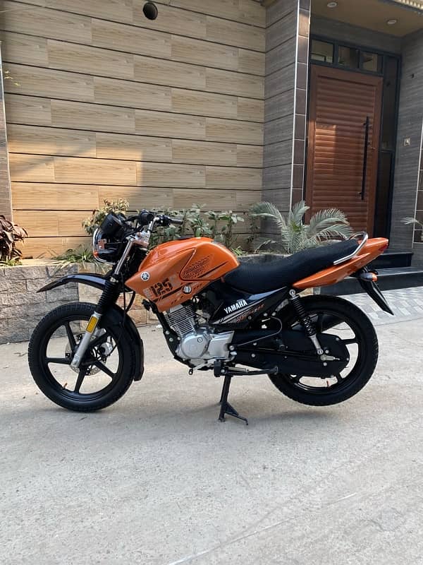 Yamaha ybr 125 G 2025 Model only 600 km Drive 2