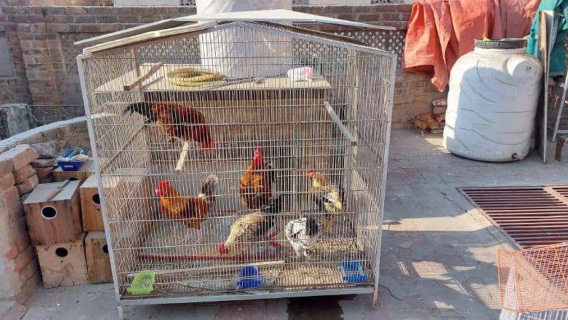 2 cages for sale 0