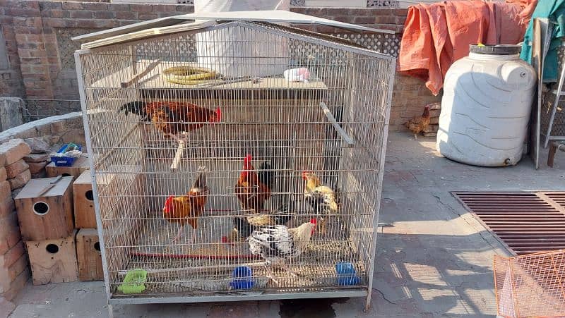 2 cages for sale 1