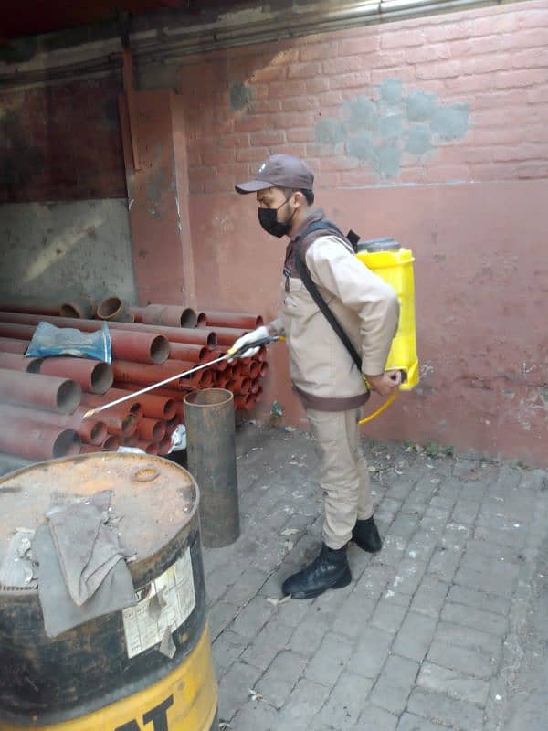 Fumigation Job in Lahore, Evening Shift 0