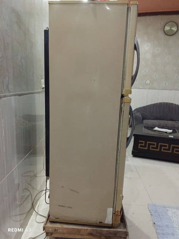 PELL Medium Fridge Urgent Sale 0