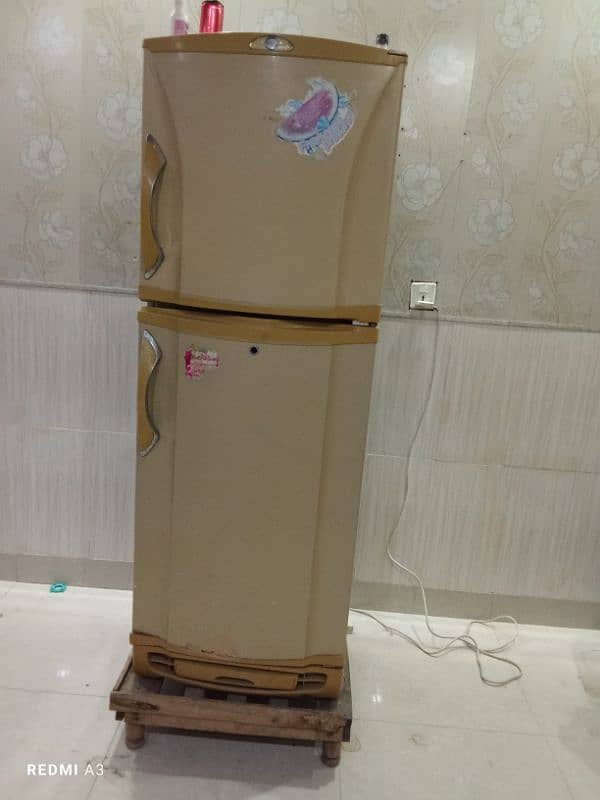 PELL Medium Fridge Urgent Sale 1