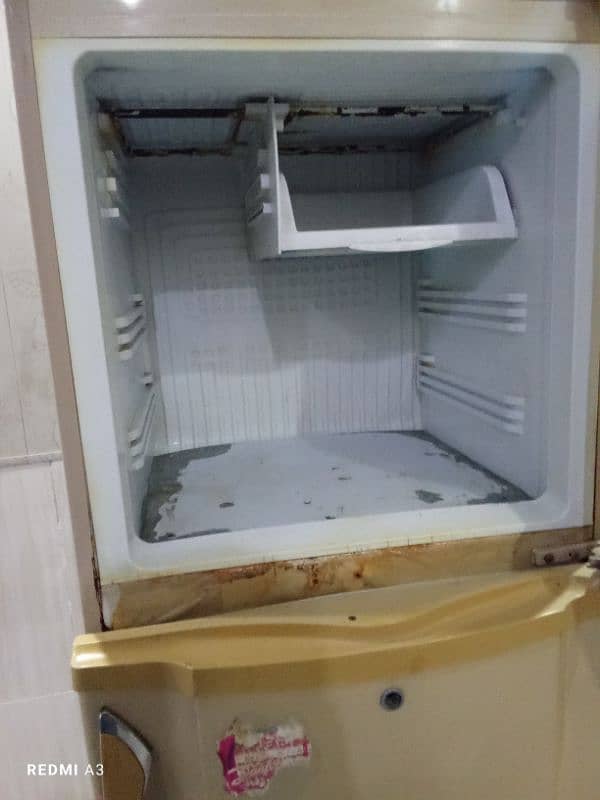 PELL Medium Fridge Urgent Sale 3