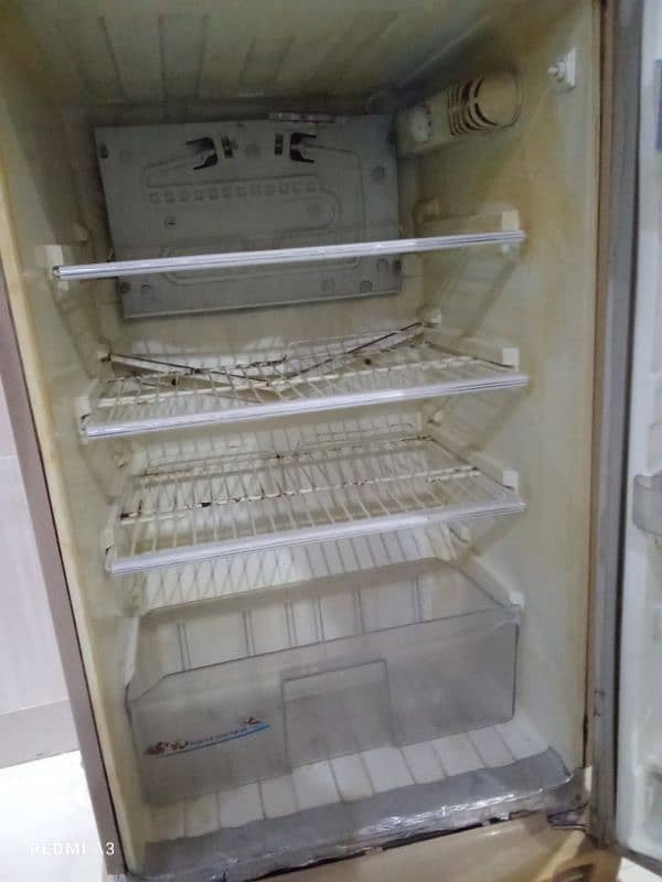 PELL Medium Fridge Urgent Sale 4