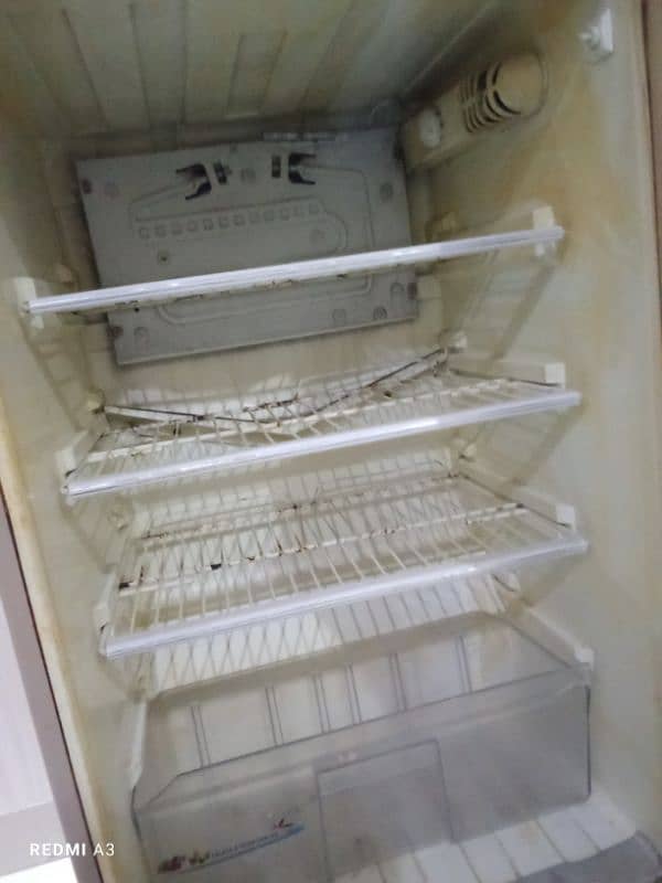 PELL Medium Fridge Urgent Sale 5