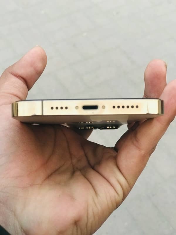 iphone 13pro max Gold color 4