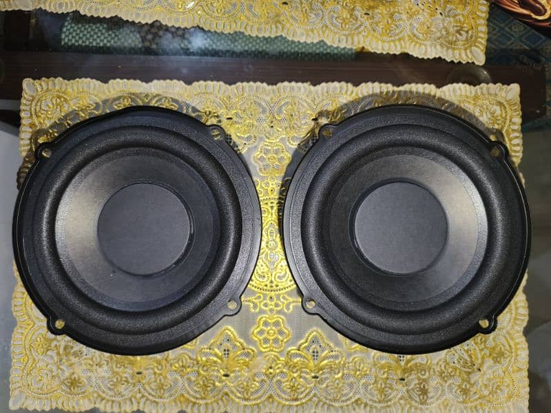 Creative Cambridge 6.5 inch woofers double magnet 1