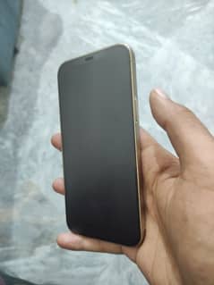 I phone 12 pro max PTA provide