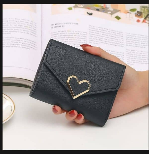 Ladies wallet 2