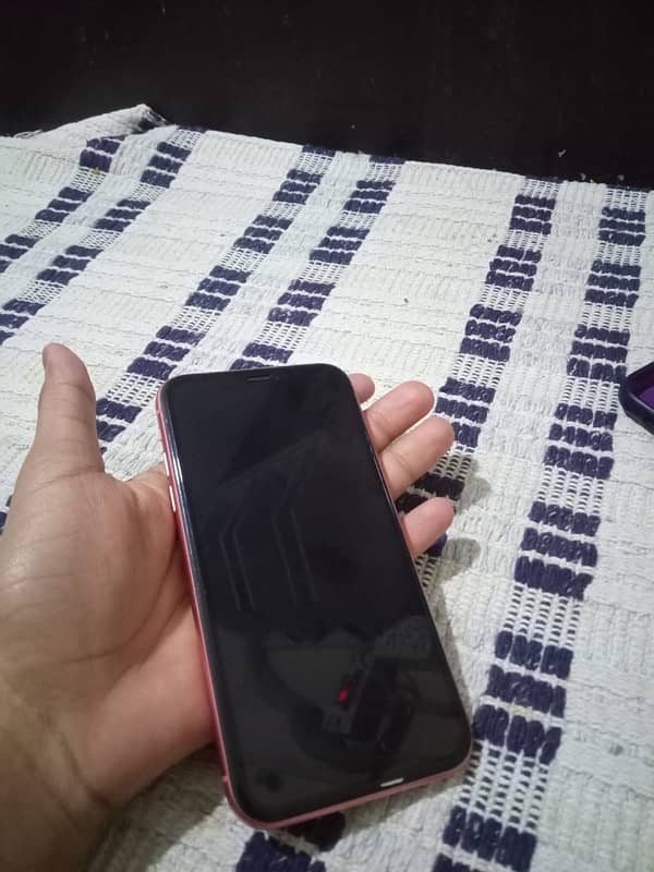 iphone xr 1