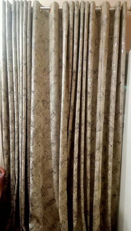 New curtains 5 pieces 1