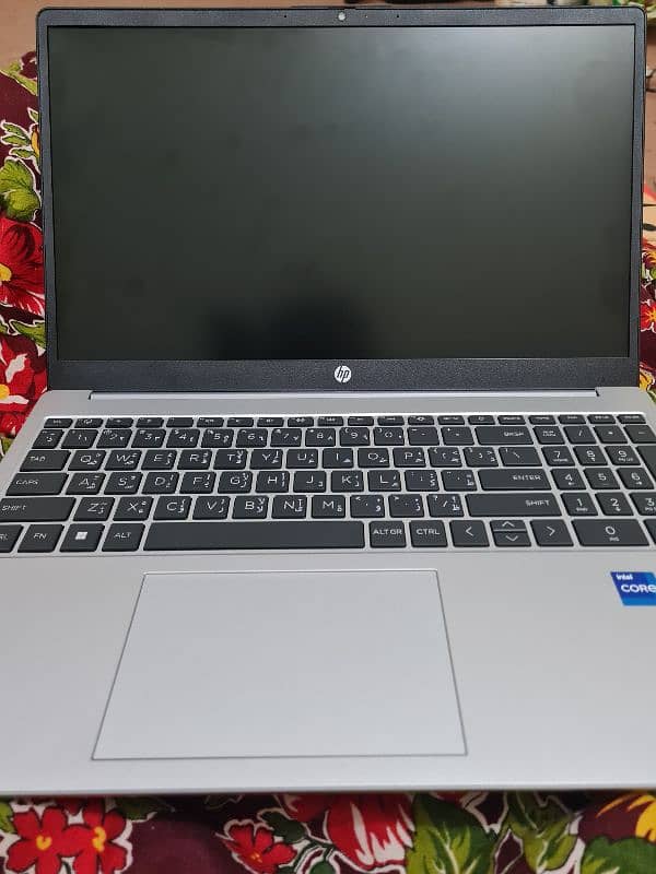 HP 250 g10 13th gen corei7 0