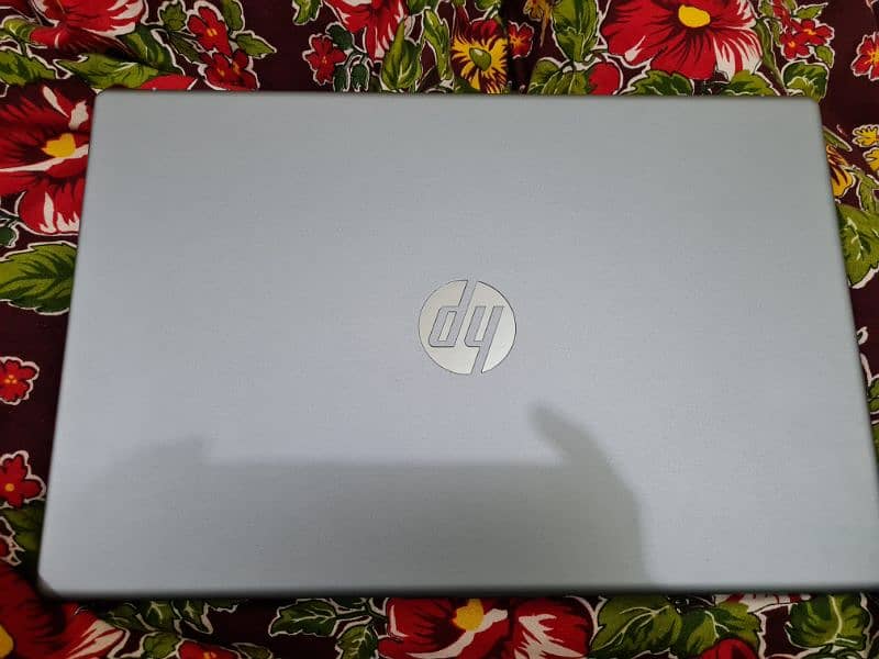 HP 250 g10 13th gen corei7 1