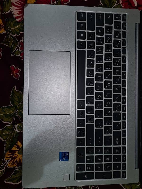 HP 250 g10 13th gen corei7 3