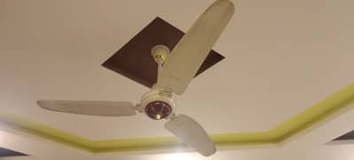 Royal Ceiling fan for Sales