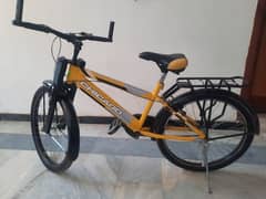 Bicycke 24"