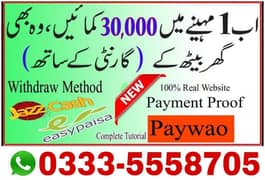 Online Earning