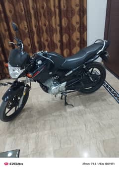 Yamaha YBR 125 2019, Just Like NEW