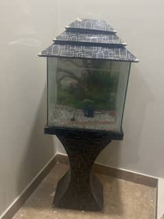 fish aquarium for sale in just 11999