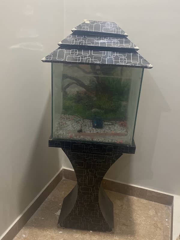 fish aquarium for sale in just 11999 0