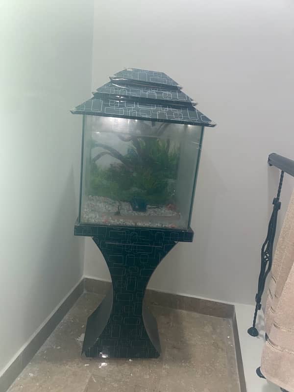 fish aquarium for sale in just 11999 1