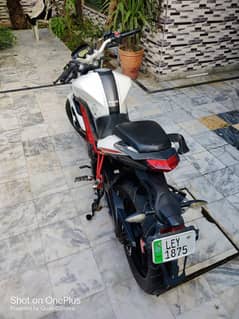 Benelli TNT 150 2019 Model