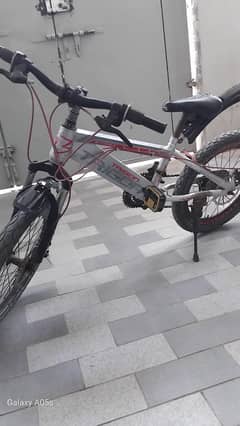 TRIGON BICYCLE