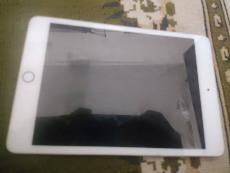 Ipad Mini 5 0