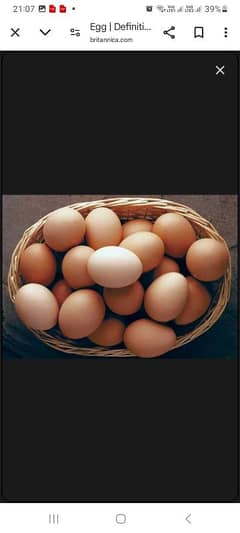 Desi Eggs and Eggs laying Hens for sale