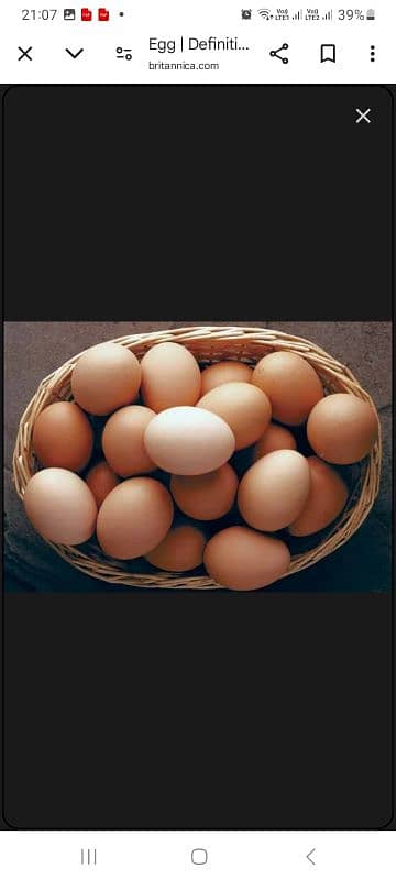 Desi Eggs and Eggs laying Hens for sale 0