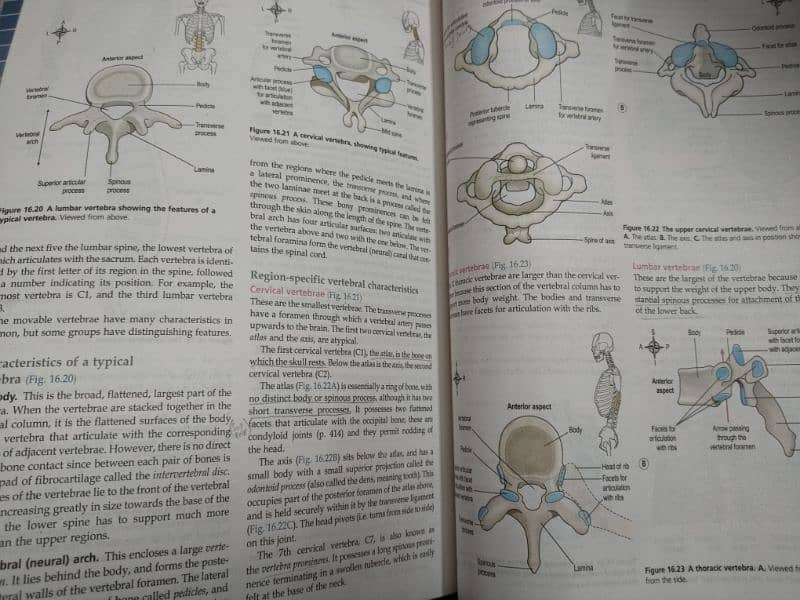 Ross and Willson Anatomy & Physiology 16th edition. 2