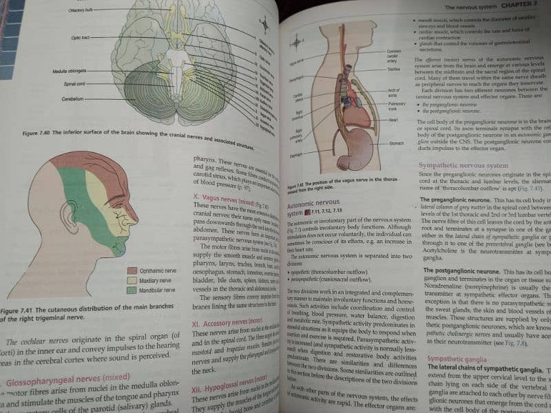 Ross and Willson Anatomy & Physiology 16th edition. 3