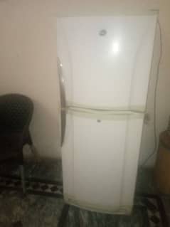 pel midyam saize fridge best works only cal03145164574