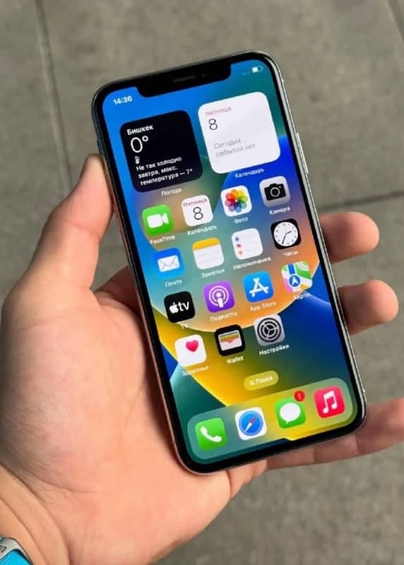 iPhone X pta proved 1