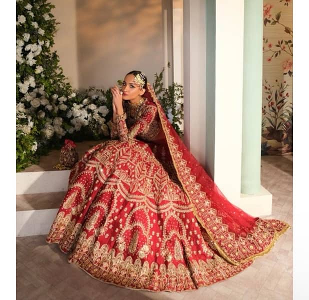 noman and bhaiya bridal dress 2