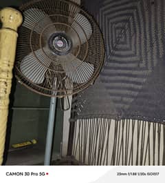 Royal Pedestal Fan