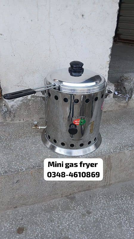 mini gas fryer sale restaurant kitchen hotel rol samosa fries 4