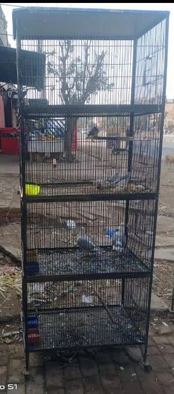 cage's and pairs for sale 0