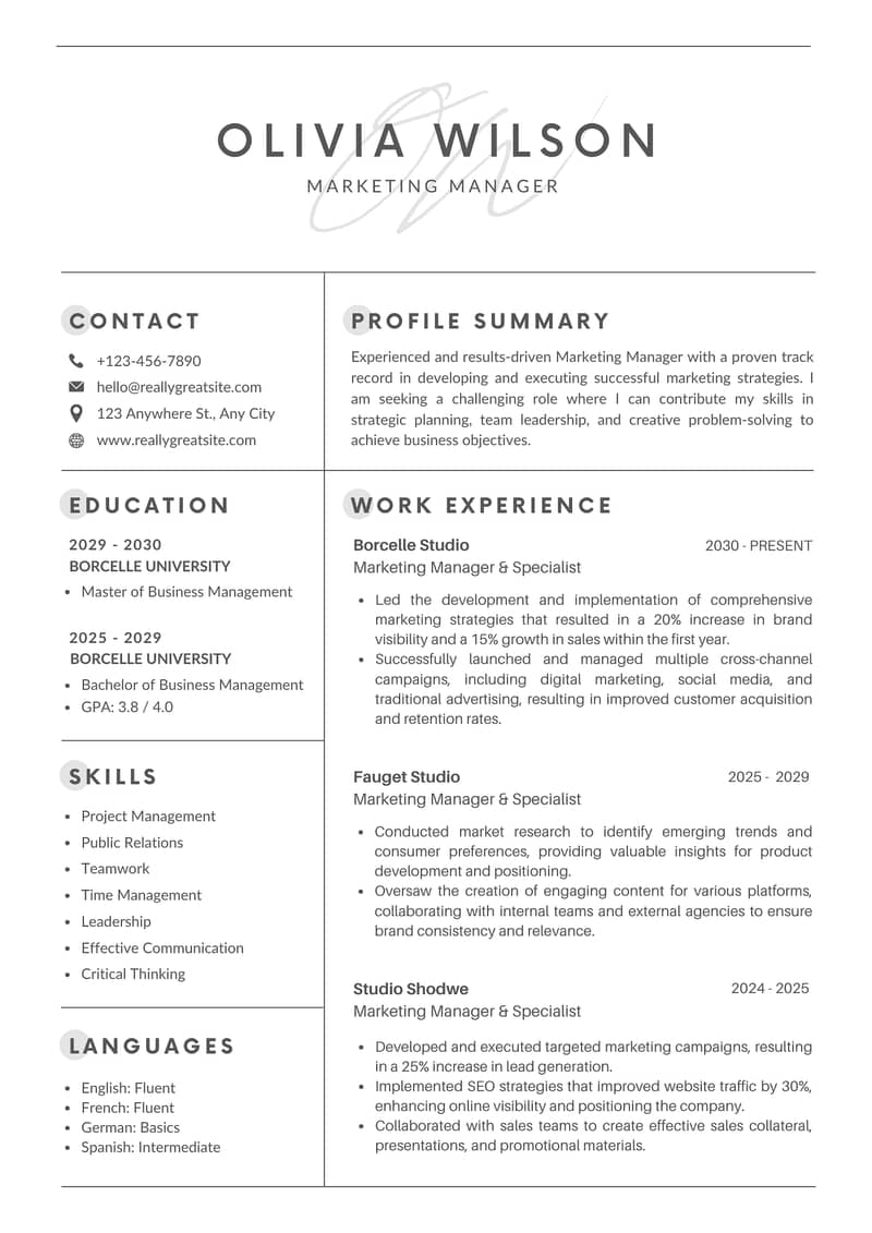 Professional Resume & CV Writer 2