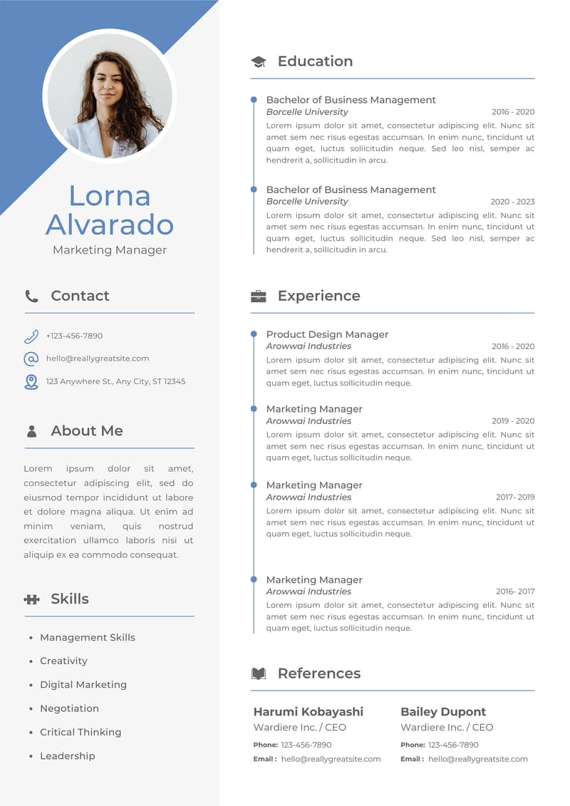 Professional Resume & CV Writer 5