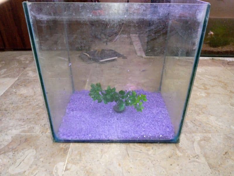 1 feet aquarium for sale location FB Area block 2 0