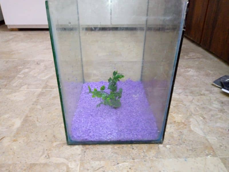 1 feet aquarium for sale location FB Area block 2 1